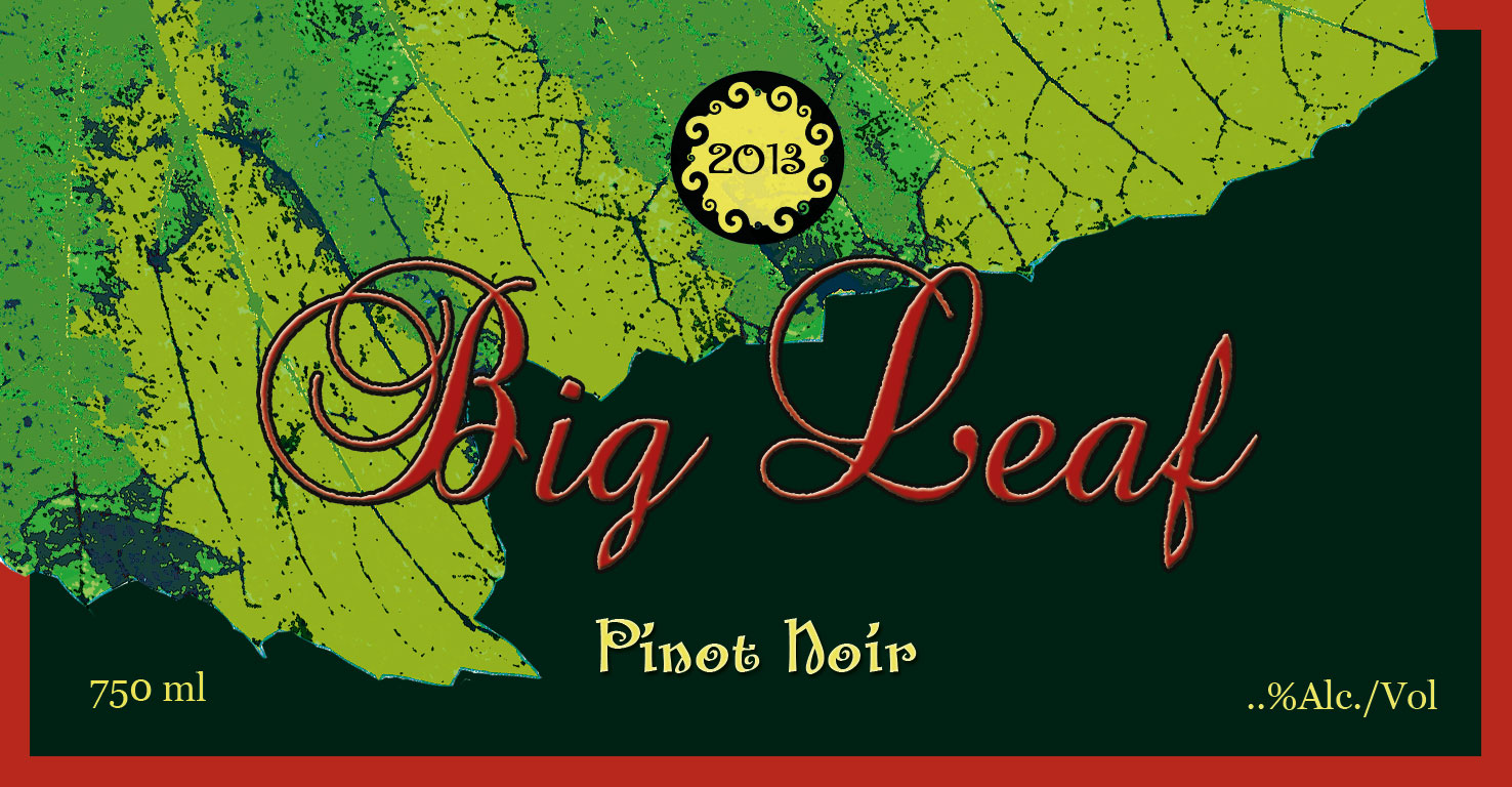 Packaging Design by shayma for this project | Design #1736334