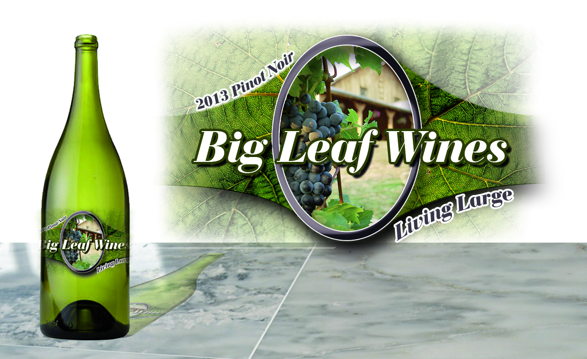 Packaging Design by nevilleboddy for this project | Design #1695844