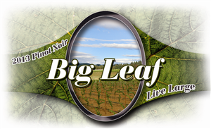 Packaging Design by nevilleboddy for this project | Design: #1720359