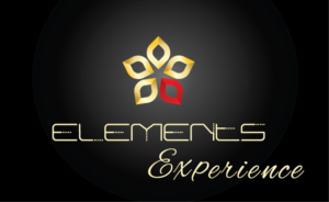 Logo Design by Archaeologo for Elements Experience | Design: #14915729