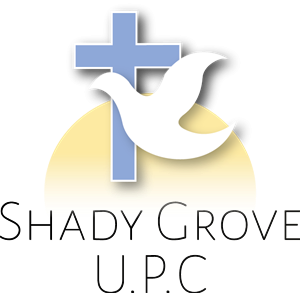 Logo Design by joe-james.nimmo92