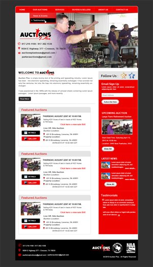 Diseño Web por The True designer