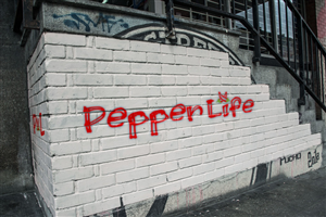 Logo Design by at-as for The Pepper Life | Design: #6413252