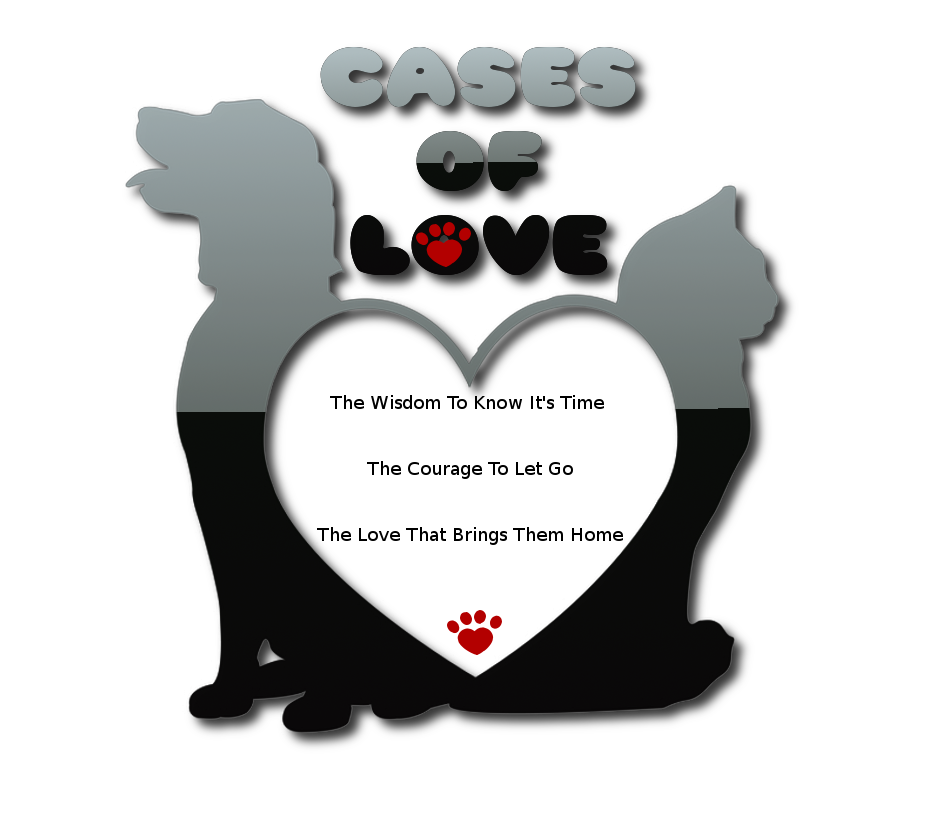 Logo Design by ZingSane for Cases of Love. LLC | Design #1803560