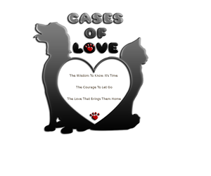 Logo Design by ZingSane