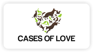 Diseño de Logo por eyedezign