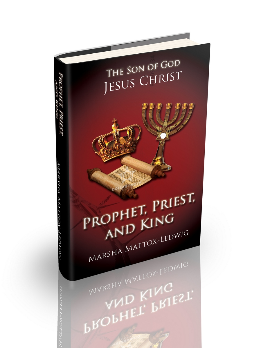 Book Cover Design by dragan74 for this project | Design #6496367