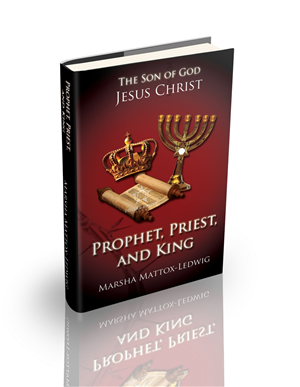 Book Cover Design by dragan74