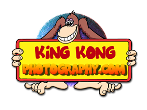 Logo Design by igi graphics logo designer for this project | Design: #1685260
