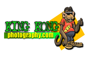 Logo Design by igi graphics logo designer for this project | Design: #1685317