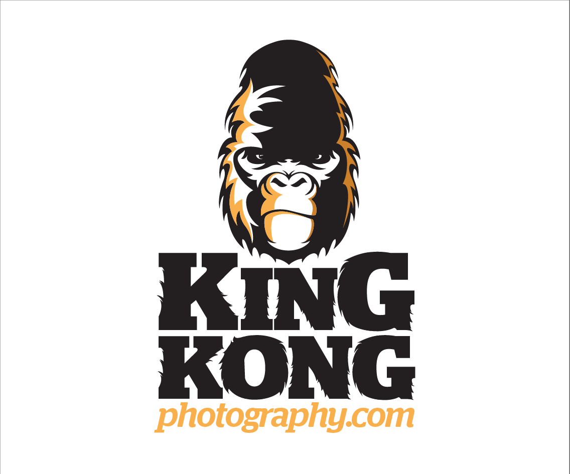 Logo Design by designedbykyle for this project | Design #1687788