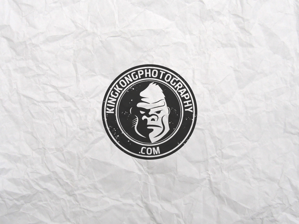 Logo Design by gennicar for this project | Design #1687901