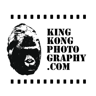 Logo Design by franklinsoler for this project | Design #1685501