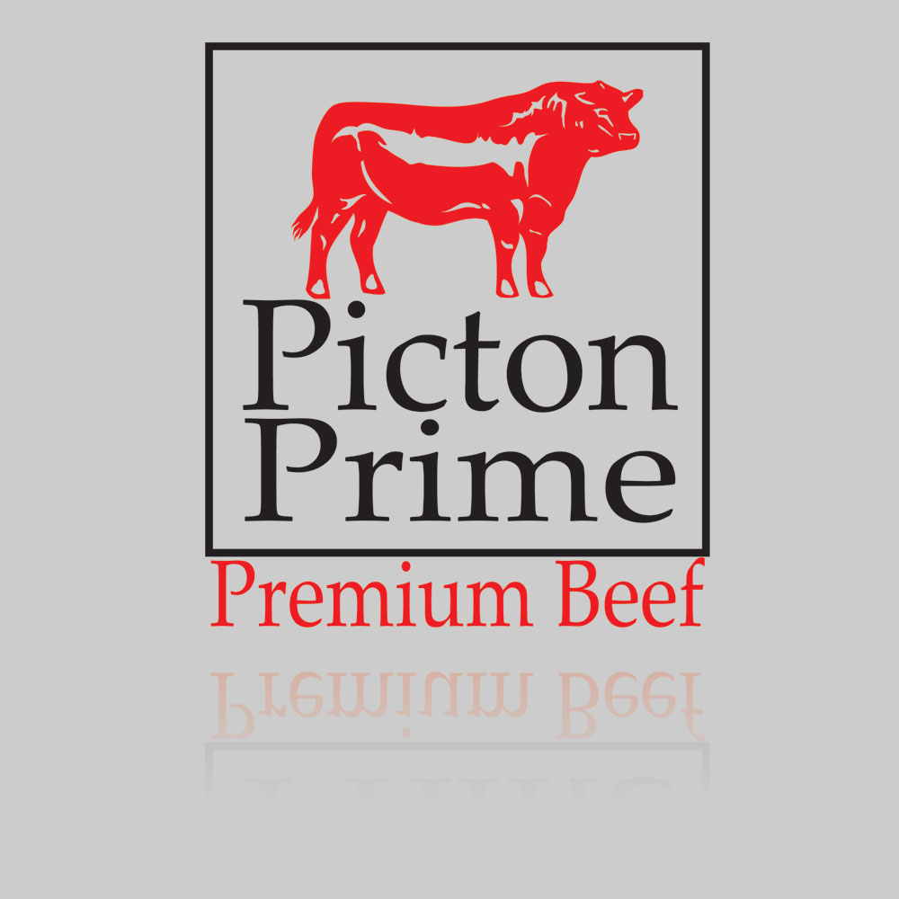 Logo Design by ShyShutter for this project | Design #1684742