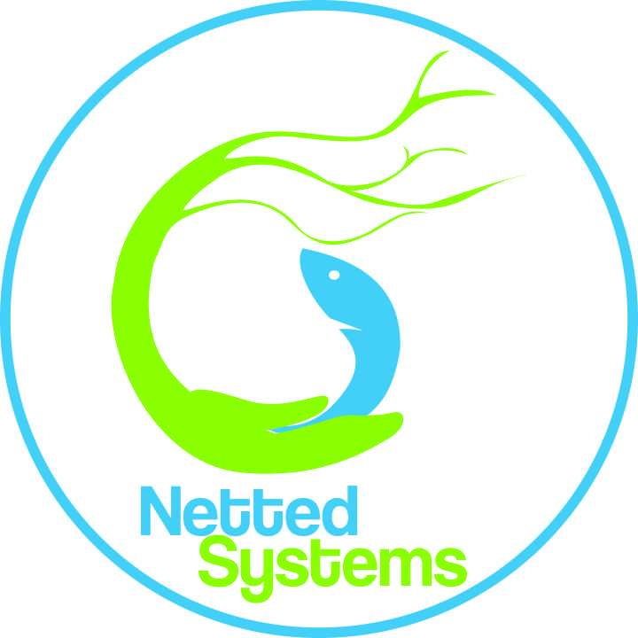 Logo-Design von napasa_2002 für Netted Systems Pty Ltd | Design #6431144