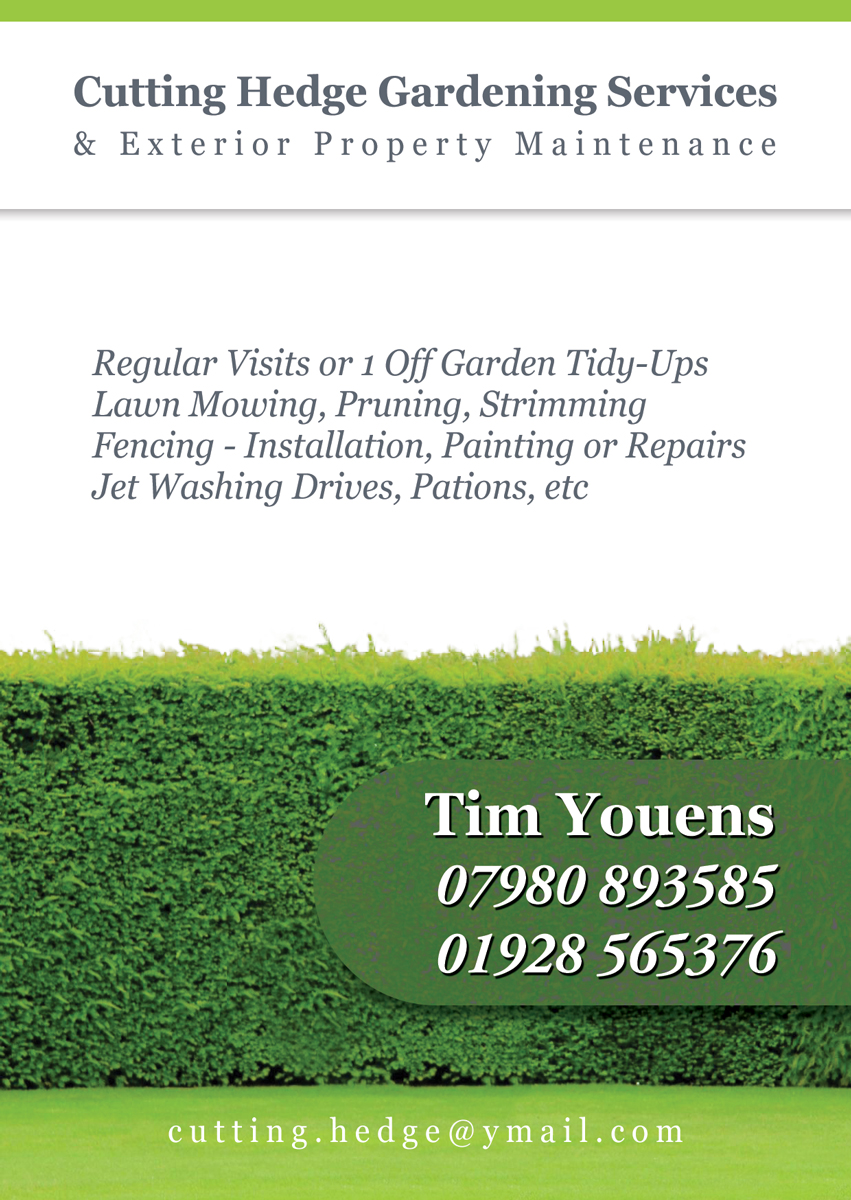 flyer design by danielflor for this project design 6419437