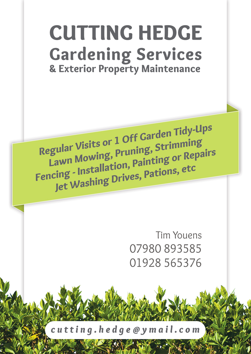 Design de Flyer par danielflor pour ce projet | Design #6421987