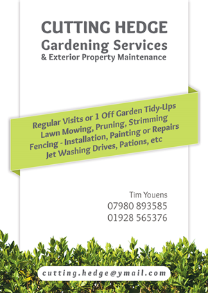 Design de Flyer par danielflor pour ce projet | Design : #6421987