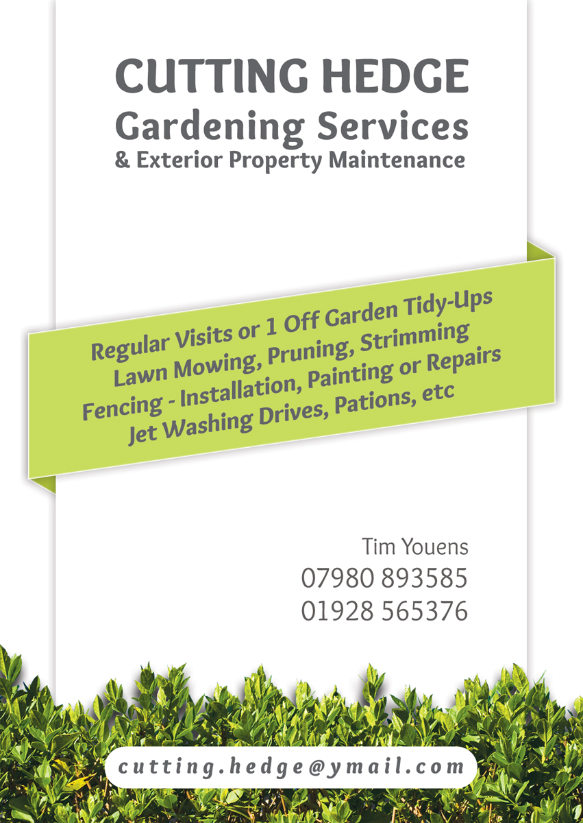 Design de Flyer par danielflor pour ce projet | Design #6421998