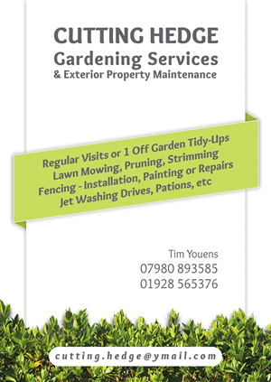 Design de Flyer par danielflor pour ce projet | Design : #6421998