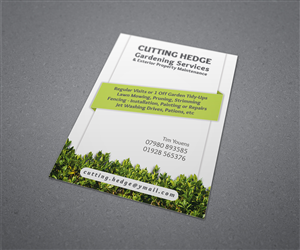 Design de Flyer par danielflor pour ce projet | Design : #6422723