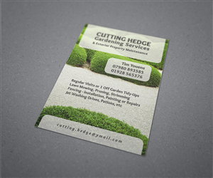 Design de Flyer par danielflor pour ce projet | Design : #6422756