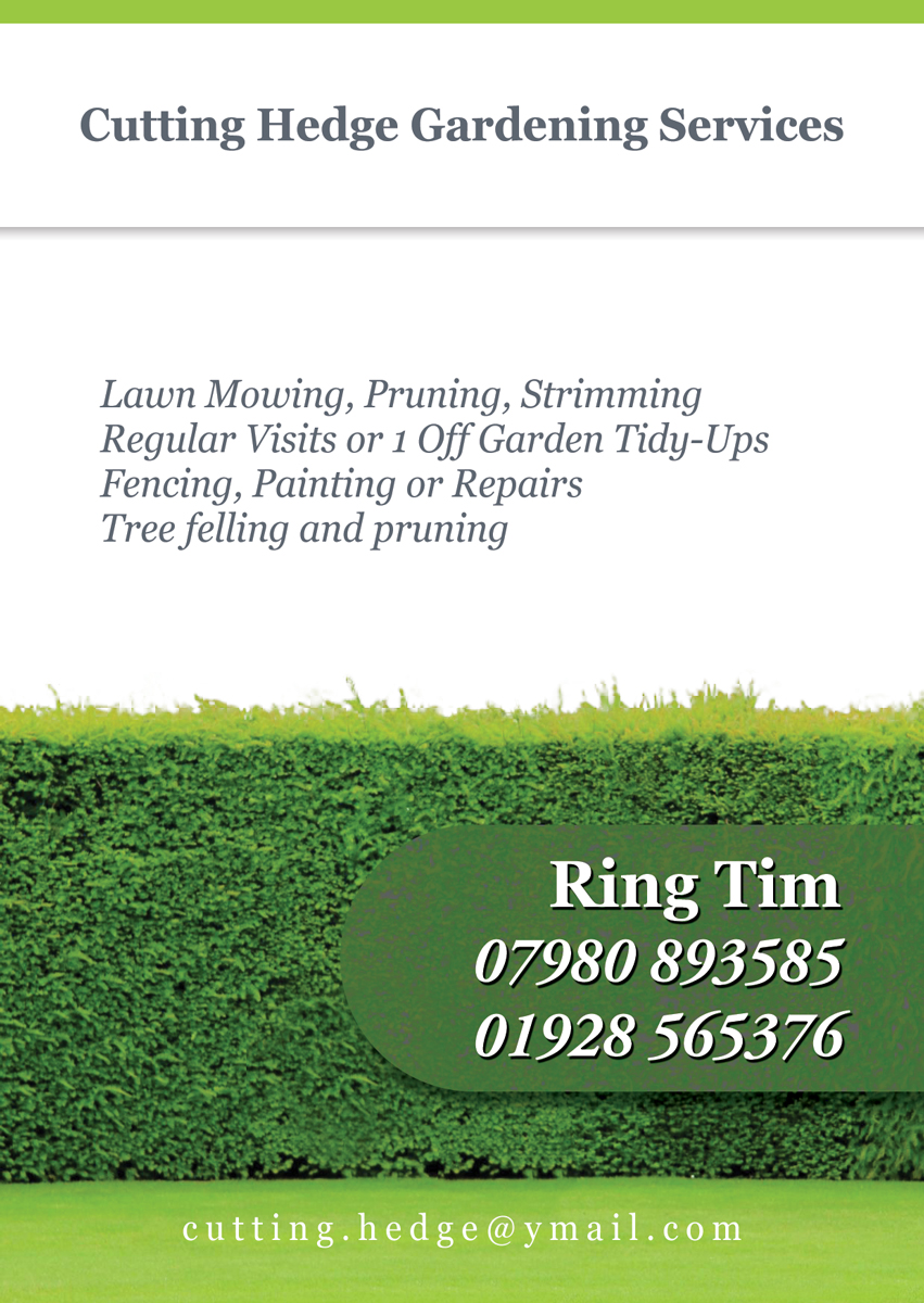 Design de Flyer par danielflor pour ce projet | Design #6520678