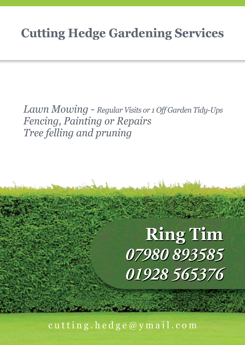 Flyer Design by danielflor for this project | Design #6520681