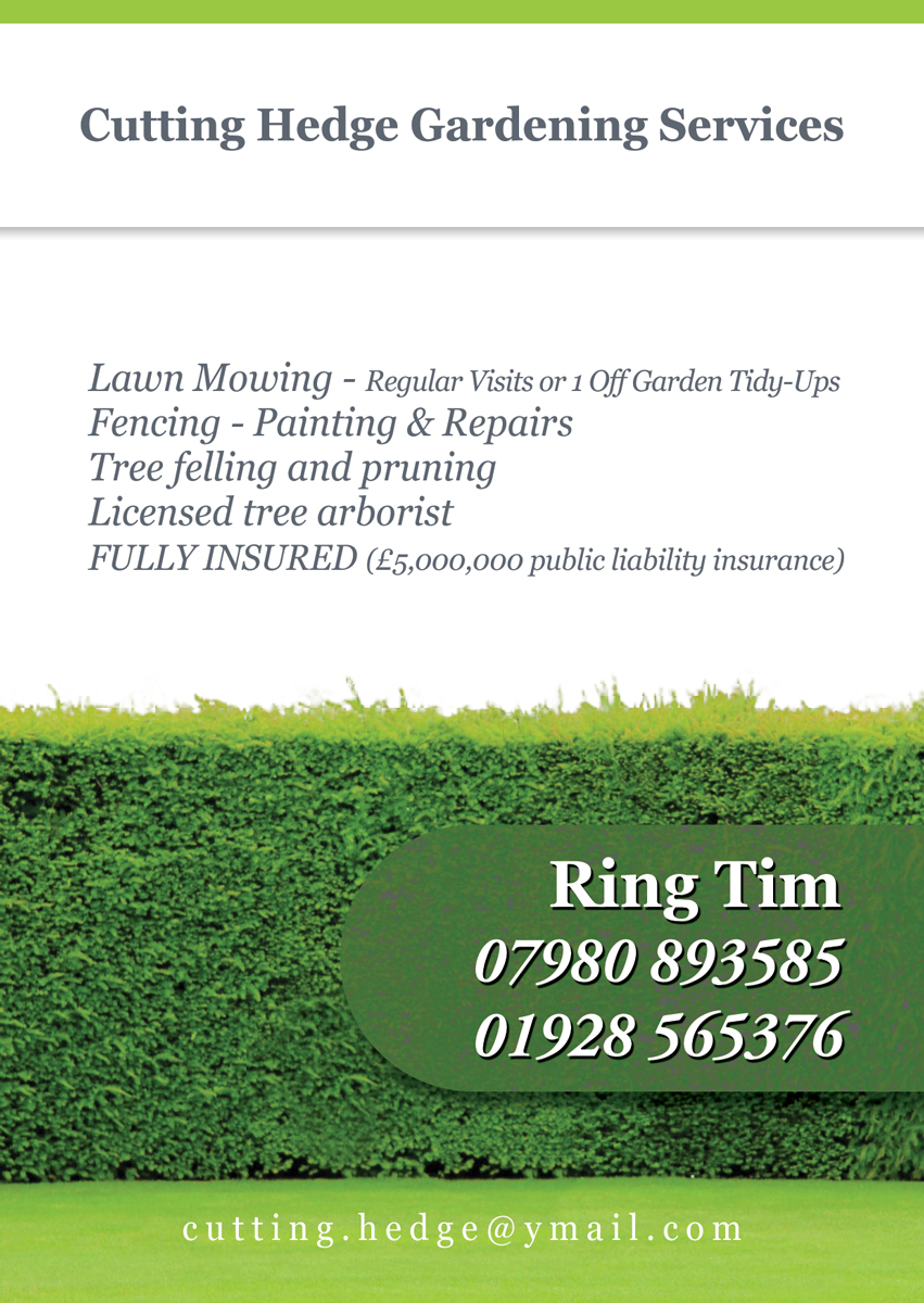 Flyer Design by danielflor for this project | Design #6541181