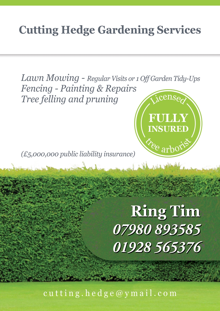 Flyer Design by danielflor for this project | Design #6541484