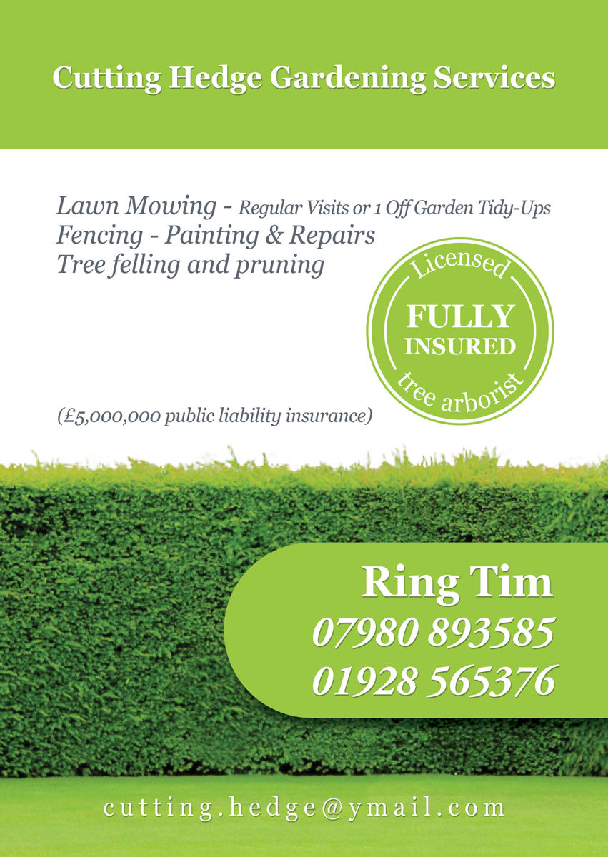 Flyer Design by danielflor for this project | Design #6541750