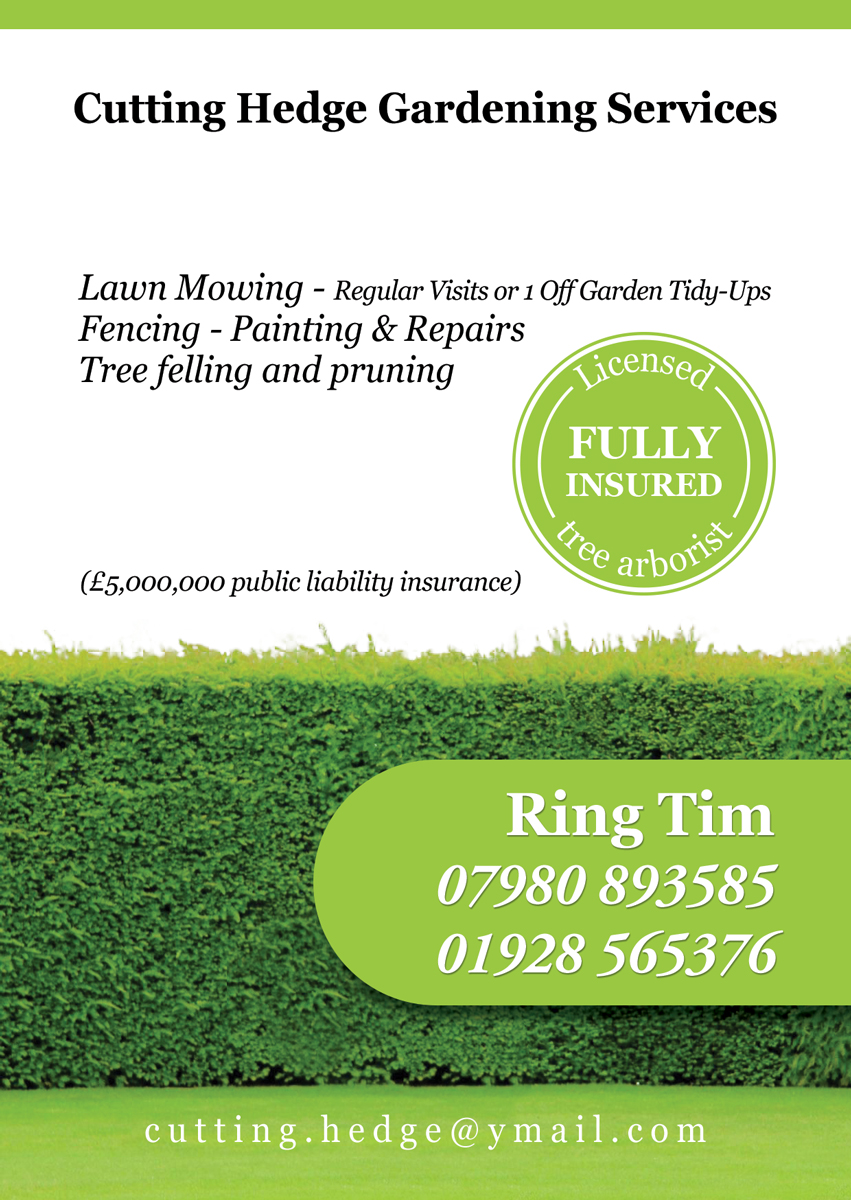 Diseño de Flyer por danielflor para este proyecto | Diseño #6541992