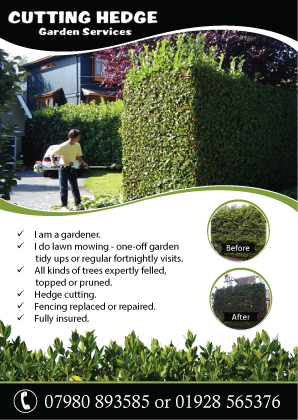 Flyer Design by nyky