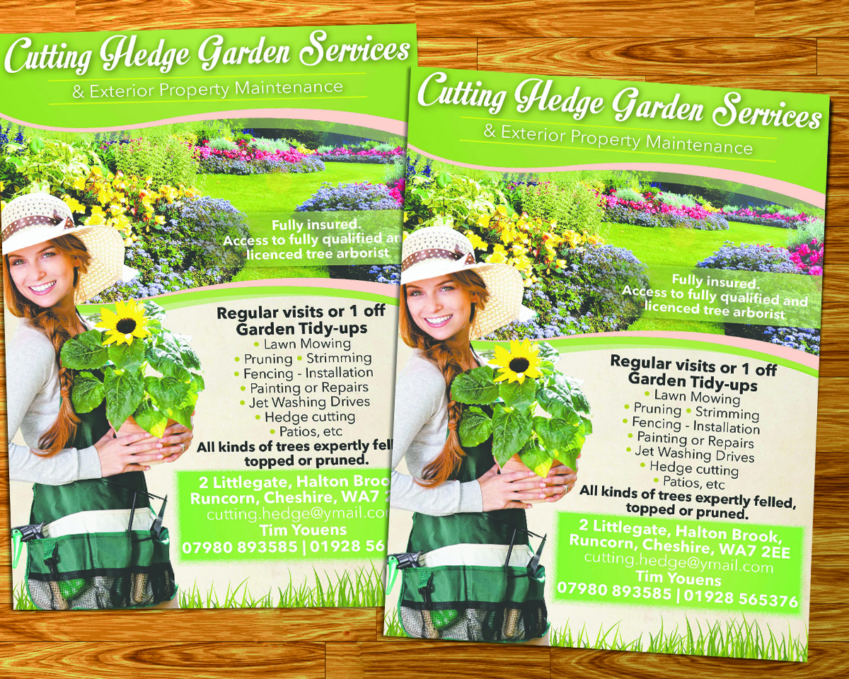 Design de Flyer par Alvin24 pour ce projet | Design #6404993