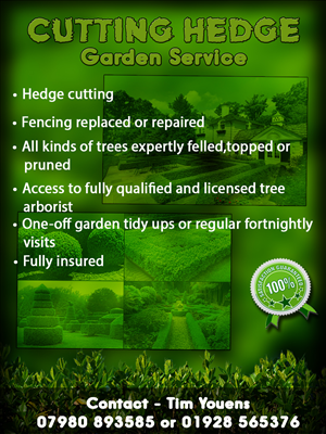 Flyer Design by chathu1234