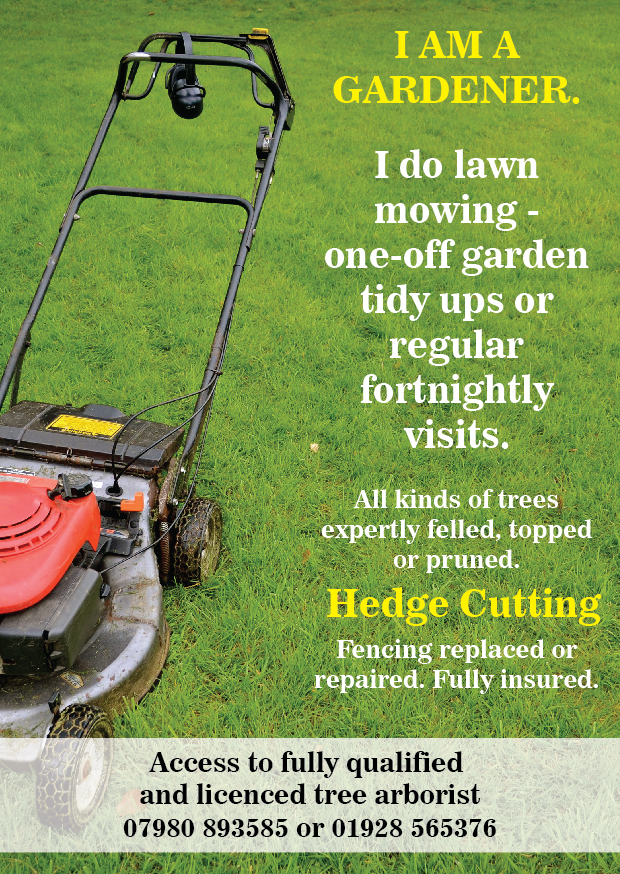 Flyer Design by AIVIA for this project | Design #6489604