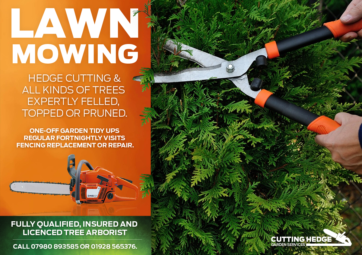 Design de Flyer par kevanovic pour ce projet | Design #6453905