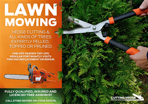 Design de Flyer par kevanovic pour ce projet | Design : #6453905