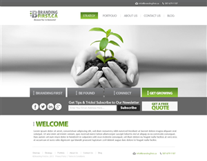 Web Design by TechWise for Branding First Inc. | Design: #1729460