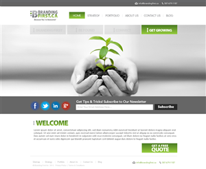 Web Design by TechWise for Branding First Inc. | Design: #1756061