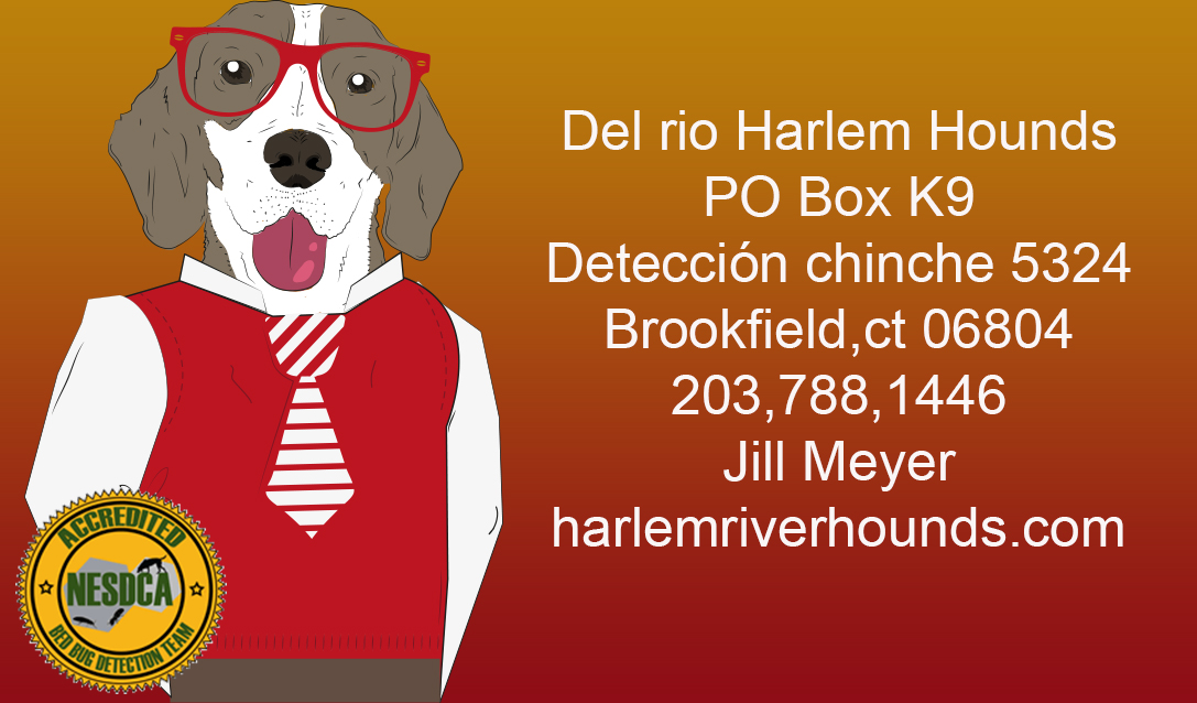 Design de Carte de Visite par Iban641 pour ce projet | Design #6411907