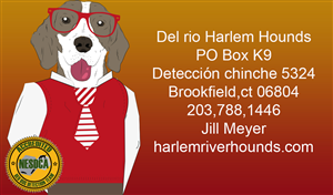 Design de Carte de Visite par Iban641 pour ce projet | Design : #6411907