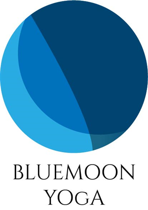 Logo Design by NovaStudios