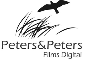 Logo Design by jecika84 for this project | Design: #358430