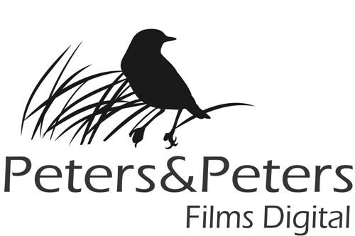 Logo Design by jecika84 for this project | Design #358432