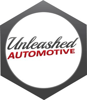 Logo Design by Anna 