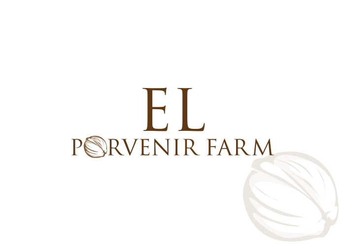 Logo Design by ApurbaMan for this project | Design #6492541