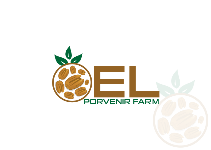 Logo Design by ApurbaMan for this project | Design #6500518