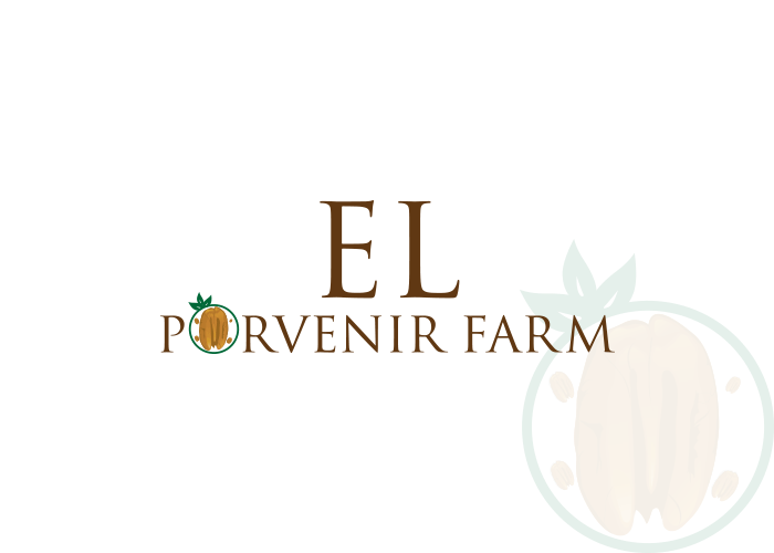Logo Design by ApurbaMan for this project | Design #6500530