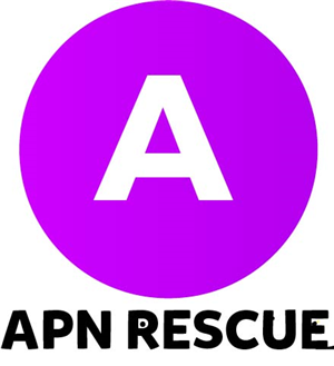 Logo Design by NovaStudios